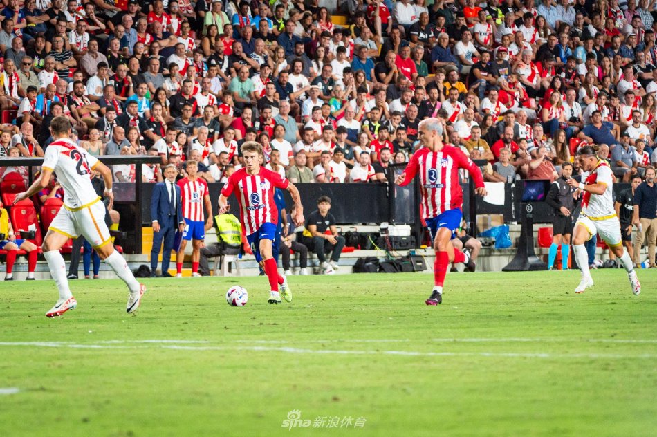 一个球员的 一个球员的