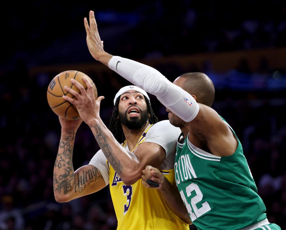 他们都展示 他们都展示