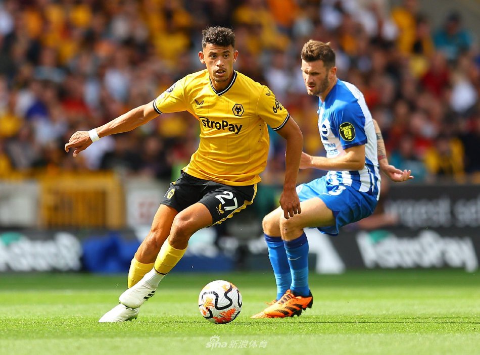 哲林因腰部 哲林因腰部